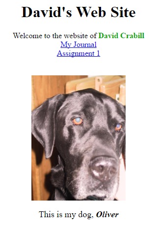 David's First Website