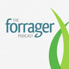 Cover Art for The Forrager Podcast
