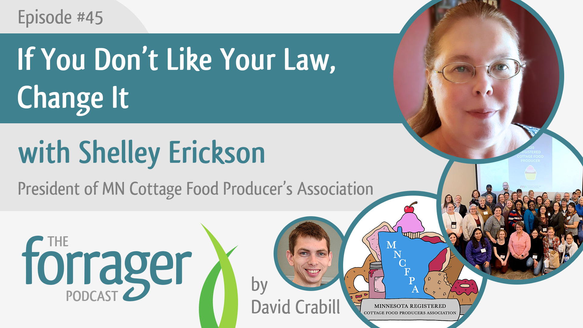 If You Don’t Like The Law, Change It with Shelley Erickson