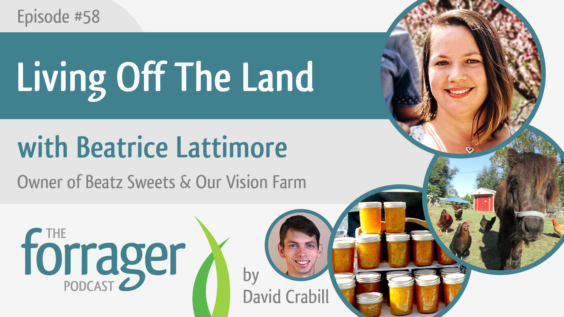 Living Off The Land with Beatrice Lattimore The Forrager Podcast