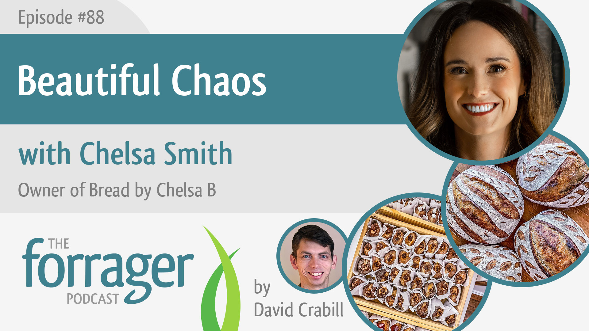 Beautiful Chaos with Chelsa Smith