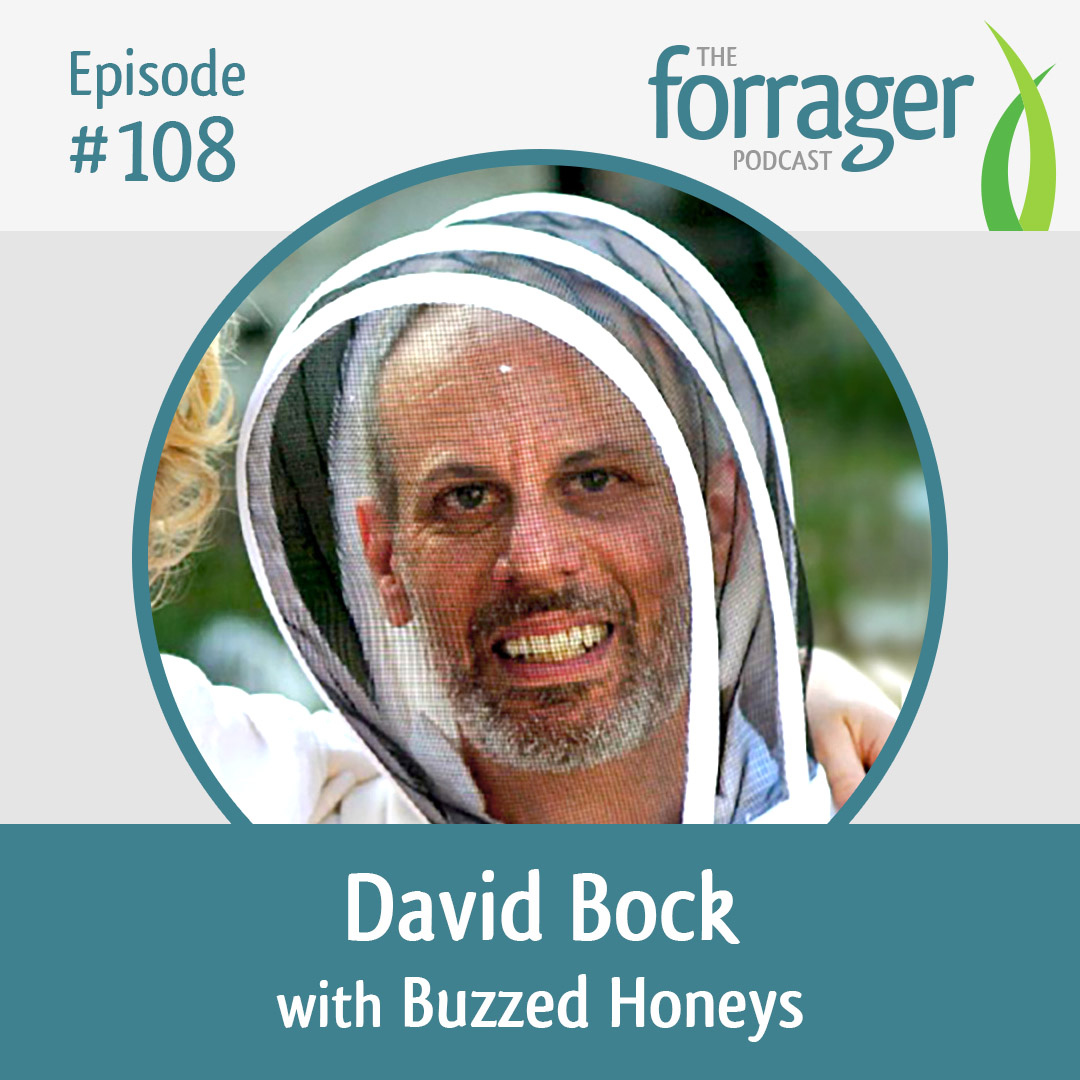 David Bock with Buzzed Honeys