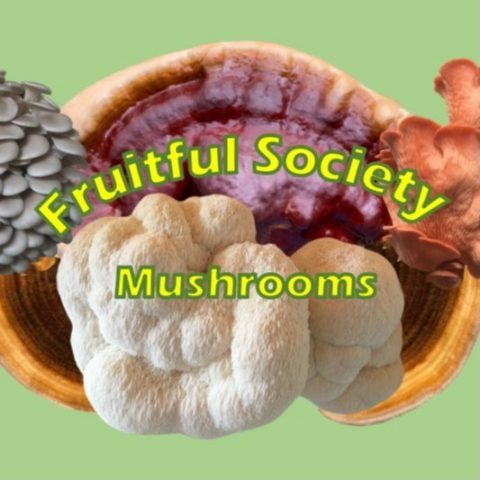 Fruitful Society Mushrooms