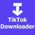 Profile picture of TikTok to MP3